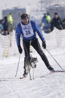 Lenk 2013